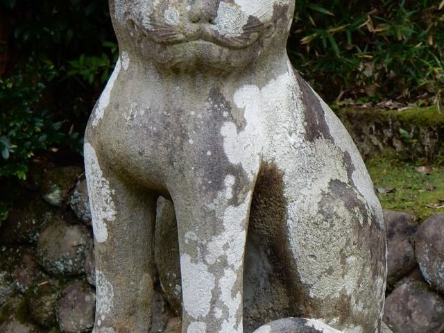 R}LBێЖؓ_ЂJĂ܂B_䗅_