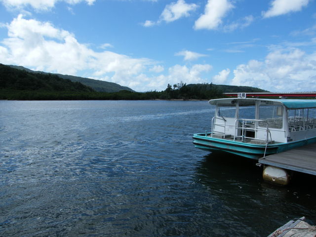 �V���D�̎p_�Y����V���D