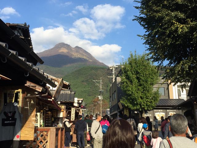 �������߂ł�_�₷�炬���̒؉���