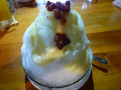 �g�����\����̓��ϖ؂ւ̓��e�ʐ^1