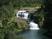 �g�����\����̃}�����h�D�̑�̓��e�ʐ^1