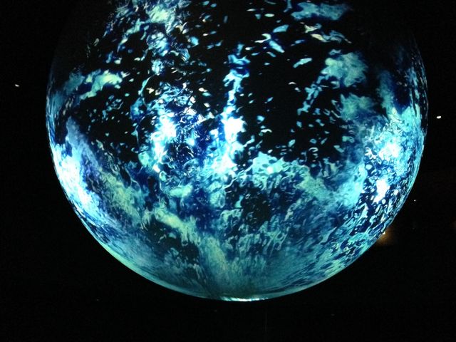 �f�����I_NIFREL�i�j�t�����j