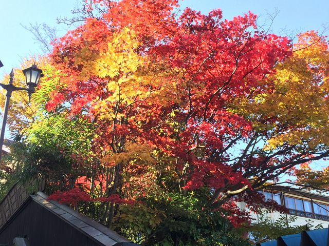 �K�i�X�����̍g�t������Ȃɂ��ꂢ�ł���_�ɍ��ۉ���̐Βi�X