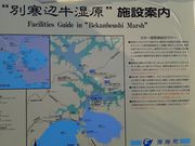 ma-chaňݐώ@ق̓eʐ^2