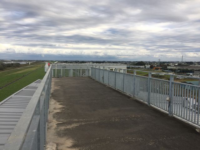 ����_���{������