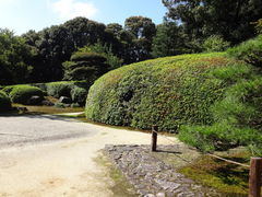 ���ǁ[����̎����@�ւ̓��e�ʐ^1