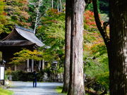 ���ǁ[����̕��莛�̓��e�ʐ^2