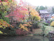 TATK̉~ʎ̍gt̓eʐ^1