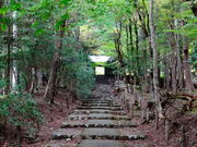 ���ǁ[����̏�ƍc���̓��e�ʐ^3