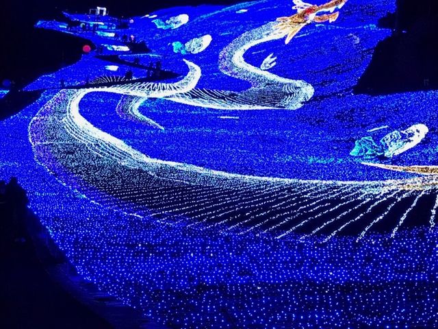 ��i�ł�_�y���l�̐��n�z�A�p���]�[�g��z�����W�]��