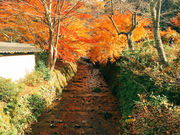 �͂邳��̋����@�̓��e�ʐ^4