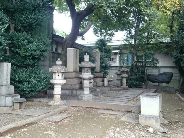 �_�ޏ��̕�