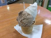 neko܂̓̉w ߂ʂ܂̓eʐ^2