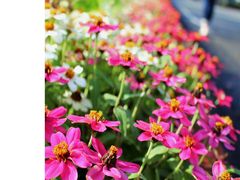 ���ʂ���̖������ƒ����@�ւ̓��e�ʐ^1