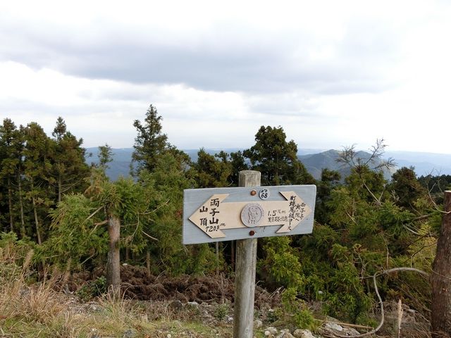 ނ炳񂳂̗qR̓eʐ^4