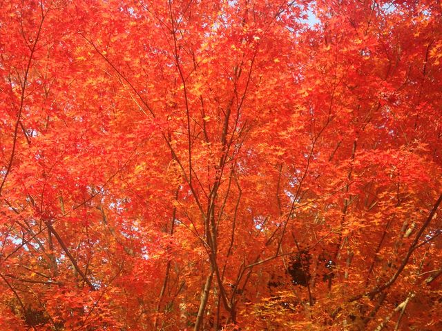 LifȅHKƍsݏ̓eʐ^5