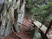 ނ炳񂳂̗qR̓eʐ^11