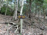 ނ炳񂳂̗qR̓eʐ^12