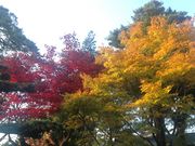 LifȅHKƍsݏ̓eʐ^2