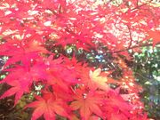 LifȅHKƍsݏ̓eʐ^3