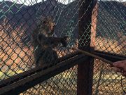 ΂̋S{쉷򃍁[vEFC̓eʐ^2