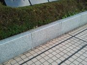 Q񂳂̃g[Nlbgz[̓eʐ^1