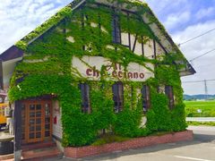 񂿂񂳂̃AEPb`@[mւ̓eʐ^1