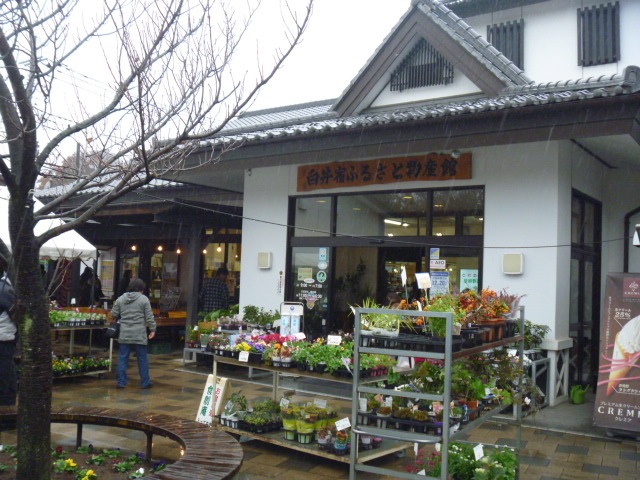 hӂ邳ƕY_̉w  hӂ邳ƕY