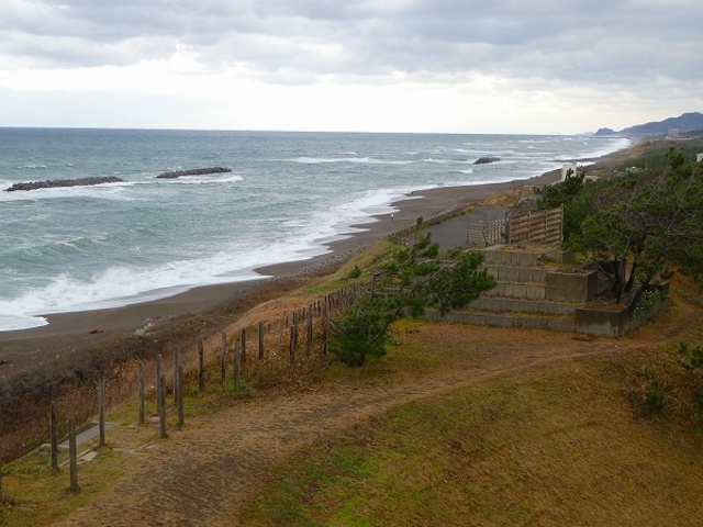 �L�̕l�C�ݔ�_�L�̕l�C������