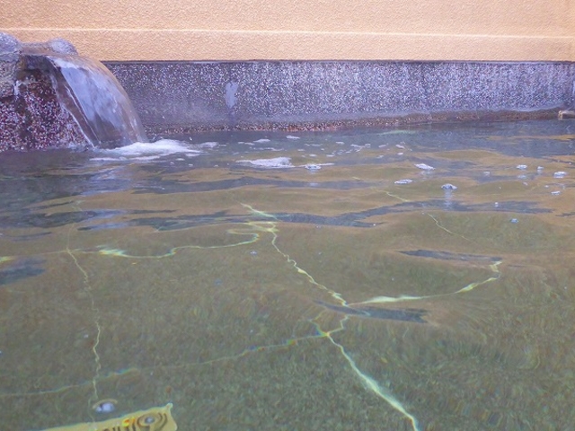 �L�̕l����E�l���فE�I�V���C_�L�̕l�C������