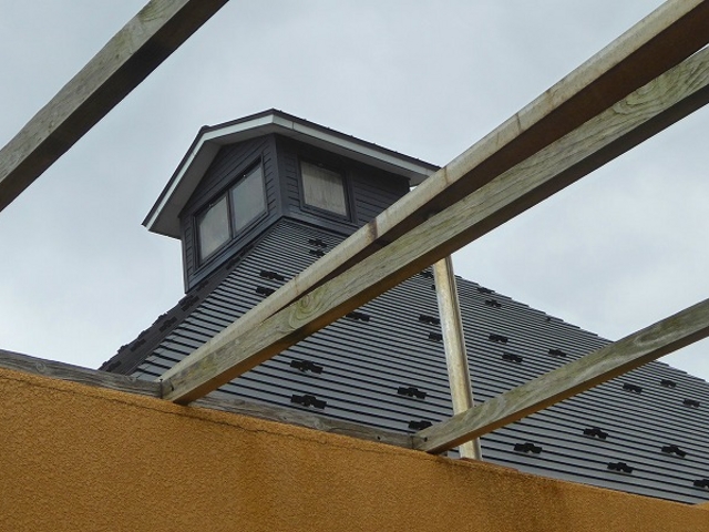 �L�̕l����E�l���فE�I�V���C_�L�̕l�C������