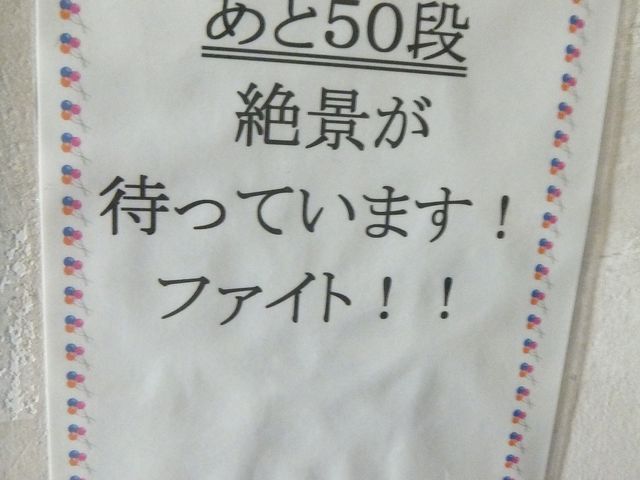 ����50�i�B_�`�����W�]���y���p�x�~���z