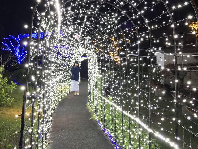 C~l[VfGI_lÉ̈䃊][gXp