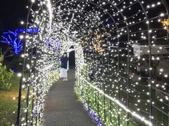 PCR`̔lÉ̈䃊][gXpւ̓eʐ^1