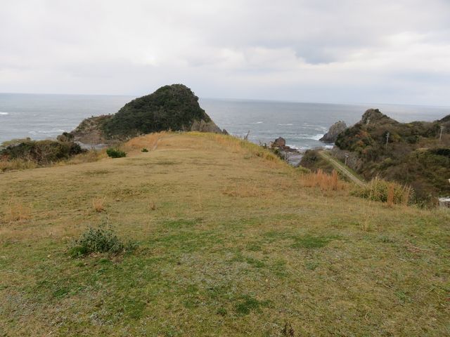 ̊ŔSO`TOƂɓW]䂪܂Bꂢ_qYt@~[p[N