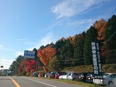 ΂Ȃ䂫䂫̓̉w É^ւ̓eʐ^1