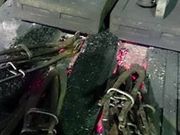 cagỹ^PtiCtrbW̓eʐ^6