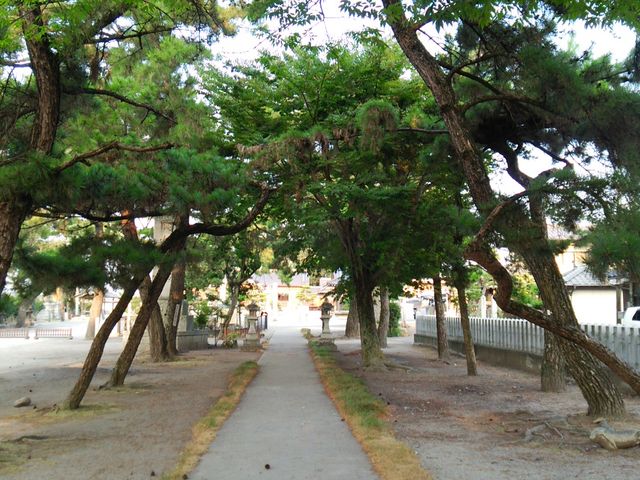 ���̃g���l���̂悤�ȎQ���B���̉��̍����ݗt�̔�_�Ŗ��l�_��