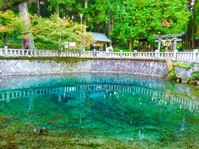 �C���[�W�𒴂����Y��ȃu���[�Ȓr�ł����B_�ʕ{�ٓV�r