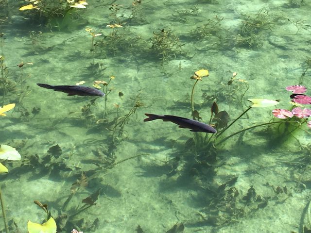 �L�肦�Ȃ��������I_���l�̒r�@�򕌌�