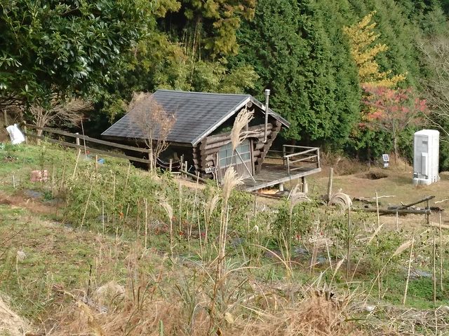 ӂ邳̓ViF{kj̓eʐ^1