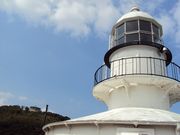 ނ炳񂳂̊֍W]̓eʐ^5