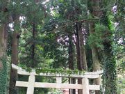 �O�����l����̎����_�Ђ̓��e�ʐ^2