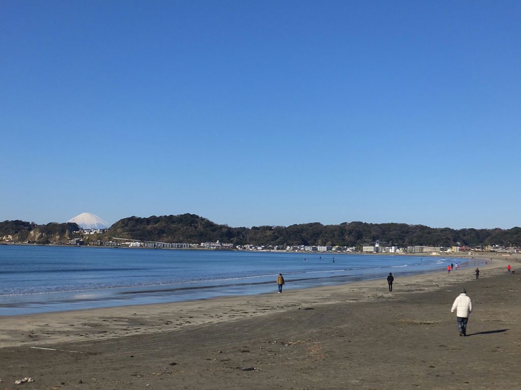 関東 海水 浴場 ランキング