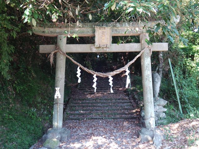 ���������ɗ���̒����́A���̂��u�񏗐_�Ёv_�O���_��