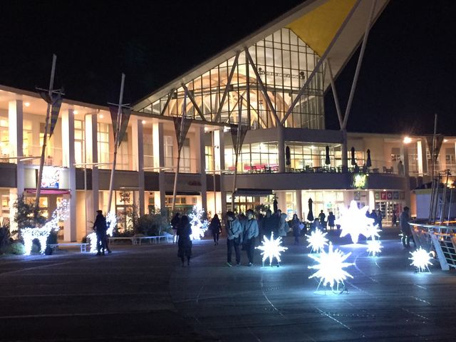 tFXeBo}[Pbg̖i_O[ie{X OiVA