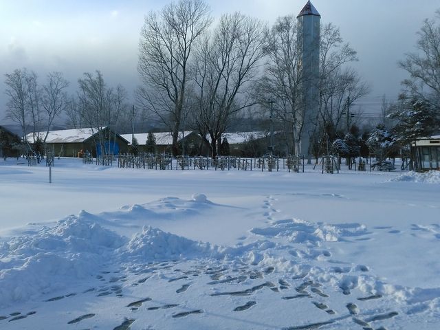 ��̃j�b�J�E���X�L�[_�j�b�J�E���X�L�[�]�s������