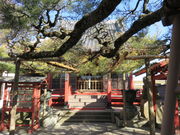 ǂ5525̑P{(s)̓eʐ^2