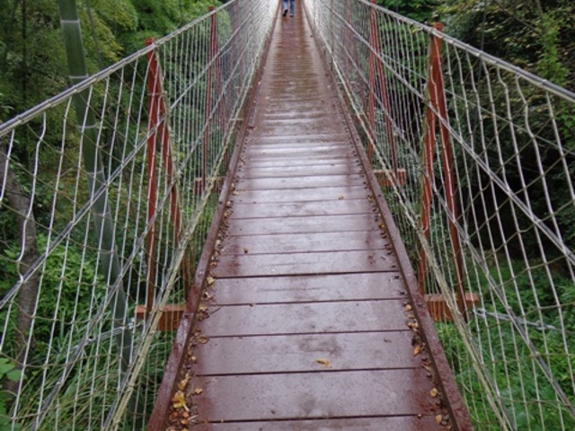 �x�͕����R����