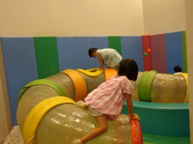 �É��Ȋw�ق�E���E��